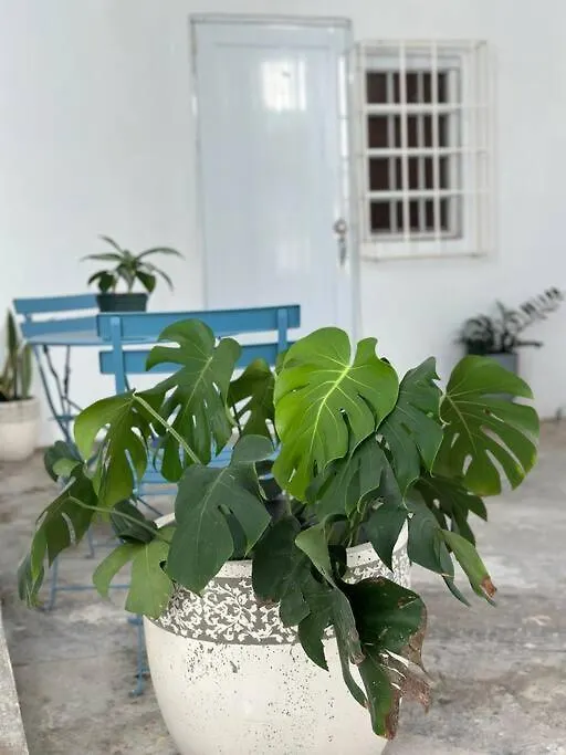 Casa Marvella@San Juan Apartment Puerto Rico